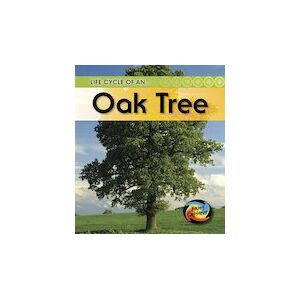 Young Explorer: Life Cycle of an Oak Tree