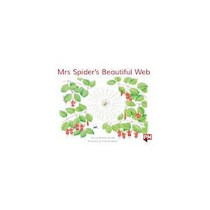 PM Green: Mrs Spider's Beautiful Web (PM Storybooks) Level 13