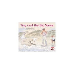 PM Yellow: Tiny and the Big Wave (PM Storybooks) Level 8 x 6