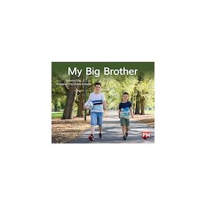 PM Yellow: My Big Brother (PM Non-fiction) Levels 8, 9 x 6