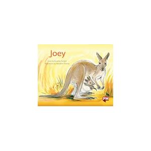 PM Green: Joey (PM Storybooks) Level 14 x 6