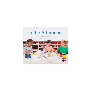 PM Green: In the Afternoon (PM Non-fiction) Levels 14, 15 x 6