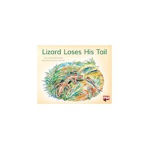 PM Red: Lizard Loses his Tail (PM Storybooks) Level 5 x 6