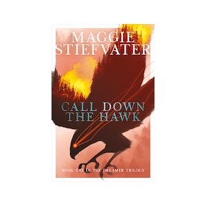 The Dreamer Trilogy #1: Call Down the Hawk