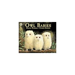 Owl Babies x 6