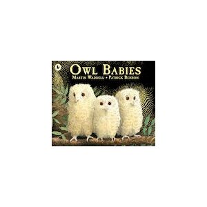 Owl Babies x 30