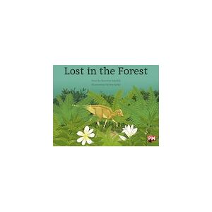 PM Orange: Lost in the Forest (PM Storybooks) Level 16