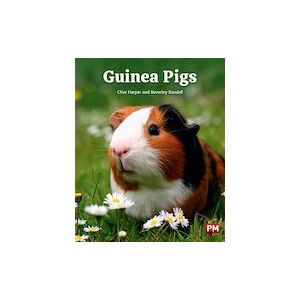 PM Orange: Guinea Pigs (PM Non-fiction) Level 15/16 x 6