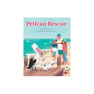 Pelican Rescue (PM Storybooks) Level 24 x 6