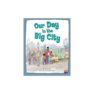 Our Day in the Big City (PM Storybooks) Level 17 x6