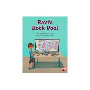 PM Purple: Ravi's Rock Pool (PM Storybooks) Level 20