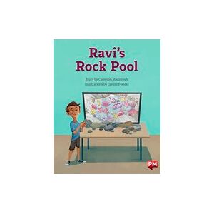 Ravi's Rock Pool (PM Storybooks) Level 20 x6
