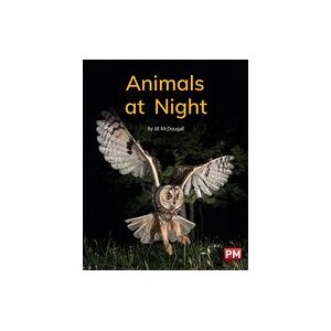 PM Green: Animals at Night (PM Non-fiction) Level 12