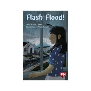 PM Emerald: Flash Flood (PM Chapter Books) Level 25