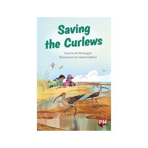 Saving the Curlews (PM Chapter Books) Level 26 x6