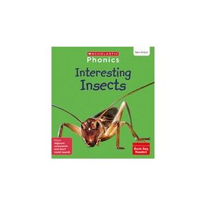 Interesting Insects (Set 7) x 6 Pack Matched to Little Wandle Letters and Sounds Revised