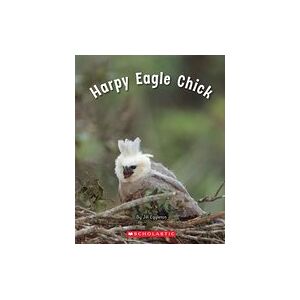 Connectors Starters: Harpy Eagle Chick (Green Pack)