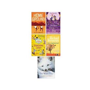 Barrington Stoke: Fiction Ages 8-12 Pack D