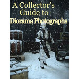 Antique A Collector’s Guide to Dioramas