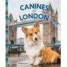 Weldon Owen Canines Of London
