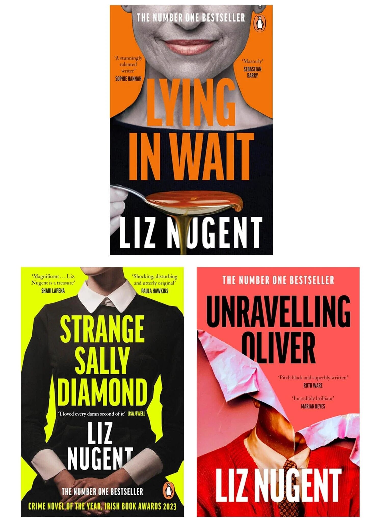 Liz Nugent 3 Books Collection Set - Fiction - Paperback Penguin