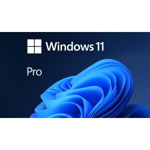 Microsoft Windows 11 Pro