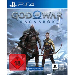 Sony Interactive Entertainment God of War: Ragnarök