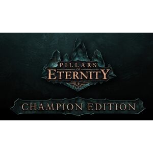 Steam Pillars of Eternity : Champion Edition