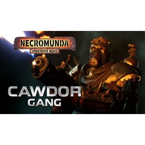 Steam Necromunda: Underhive Wars - Cawdor Gang