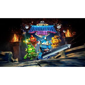 Steam Super Dungeon Bros