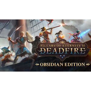 Steam Pillars of Eternity II: Deadfire Obsidian Edition