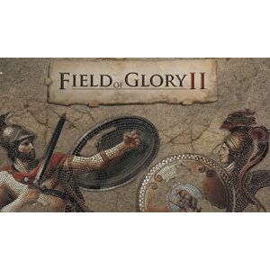 Steam Field of Glory II