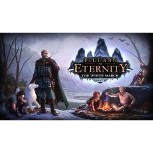 Steam Pillars of Eternity: The White March Part I
