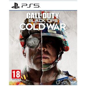 Call of Duty: Black Ops Cold War - Playstation 5 (brugt)