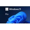 Windows 11 Pro