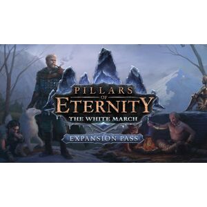 Pillars of Eternity: The White March Expansion Pass