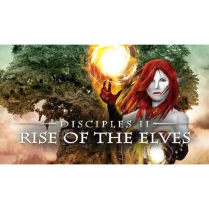 Disciples II: Rise of the Elves