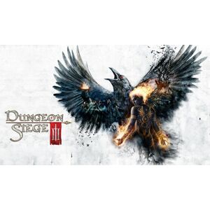 Dungeon Siege III