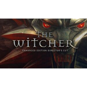 The Witcher: Enhanced Edition Director's Cut