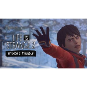 Life is Strange 2 - Episodes 2-5 bundle