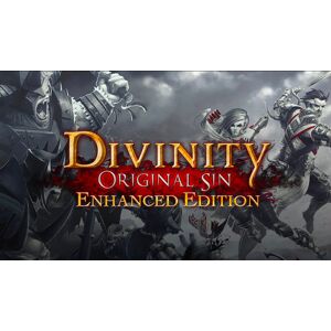 Divinity: Original Sin - Enhanced Edition