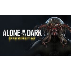 Alone in the Dark: Illumination