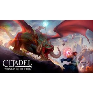 Citadel: Forged with Fire