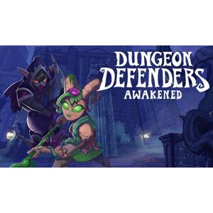 Dungeon Defenders Awakened