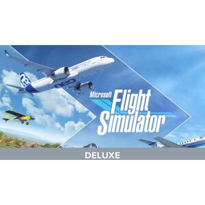 Microsoft Flight Simulator: Deluxe