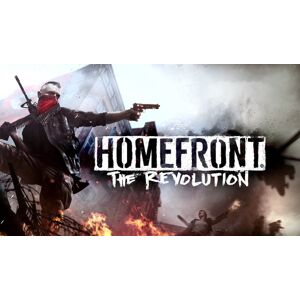 Homefront The Revolution