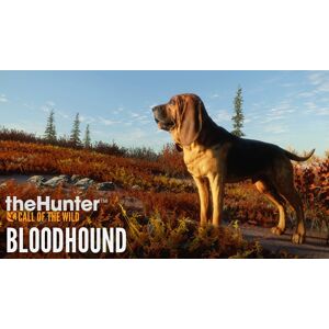 TheHunter: Call of the Wild - Bloodhound