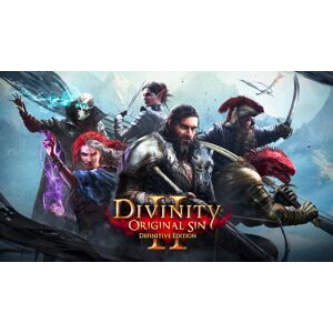 Divinity Original Sin II Definitive Edition