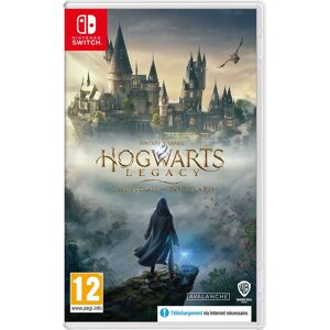 WARNER BROS.ENTERTAINMENT FRANCE Hogwarts Legacy: L'Héritage de Poudlard Nintendo Switch - Publicité