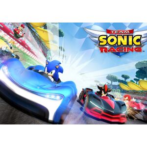 Kinguin Team Sonic Racing PlayStation 4 Account - Publicité